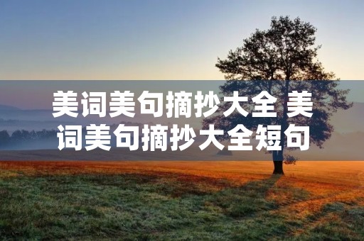 美词美句摘抄大全 美词美句摘抄大全短句