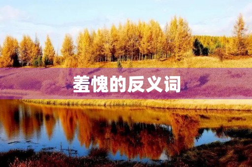 羞愧的反义词(羞愧的反义词)