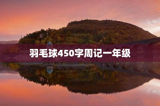羽毛球450字周记一年级 羽毛球450字周记一年级