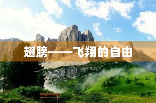 翅膀——飞翔的自由 翅膀——飞翔的自由