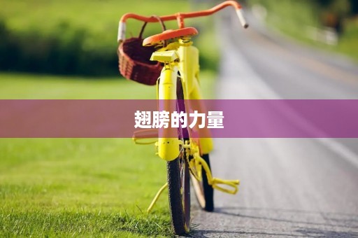 翅膀的力量 翅膀的力量