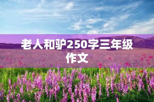 老人和驴250字三年级作文