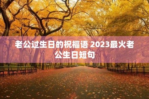 老公过生日的祝福语 2023最火老公生日短句
