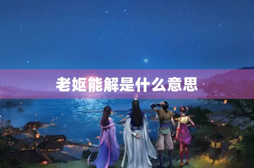 老妪能解是什么意思 老妪能解是什么意思
