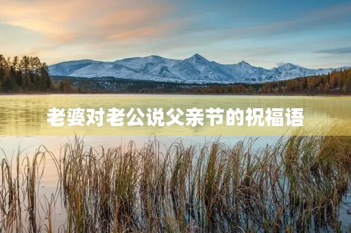 老婆对老公说父亲节的祝福语