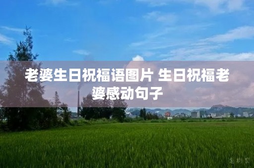 老婆生日祝福语图片 生日祝福老婆感动句子