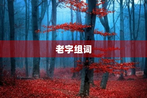 老字组词(老组词) 老字组词(老组词)