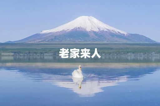 老家来人