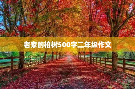 老家的柏树500字二年级作文