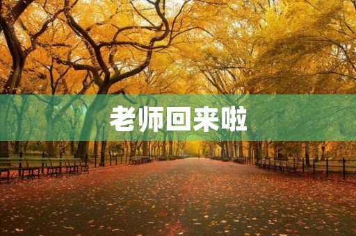 老师回来啦 老师回来啦