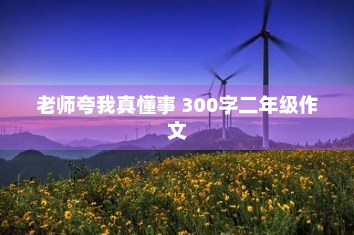老师夸我真懂事 300字二年级作文