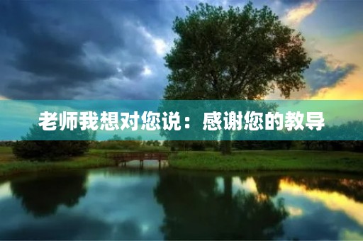 老师我想对您说:感谢您的教导 老师我想对您说:感谢您的教导