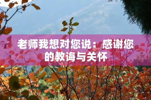老师我想对您说：感谢您的教诲与关怀