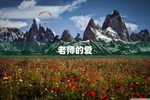 老师的爱，如此温暖500字二年级作文