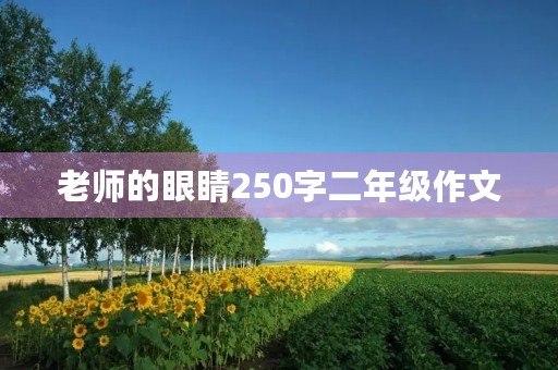 老师的眼睛250字二年级作文 老师的眼睛250字二年级作文