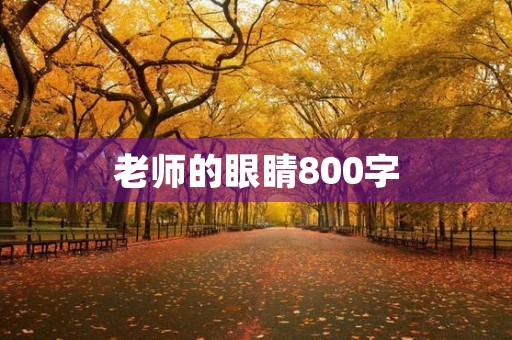 老师的眼睛800字