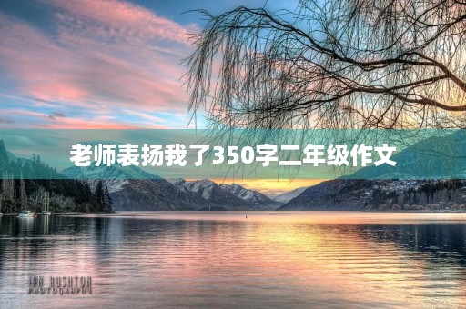 老师表扬我了350字二年级作文