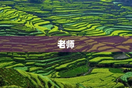 老师，对不起