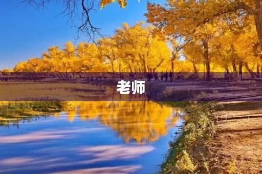 老师,感谢您的陪伴与教导 老师,感谢您的陪伴与教导