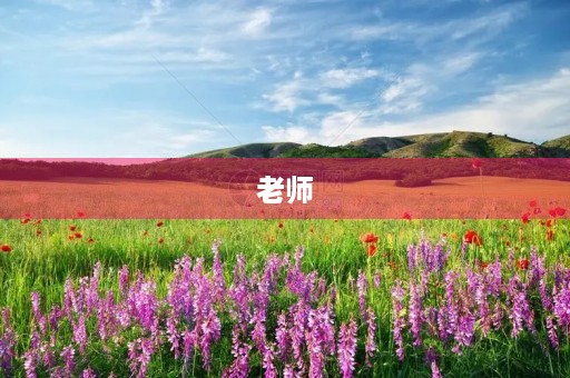 老师，我想对你说300字三年级作文
