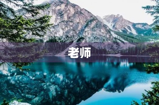 老师，我想对你说550字
