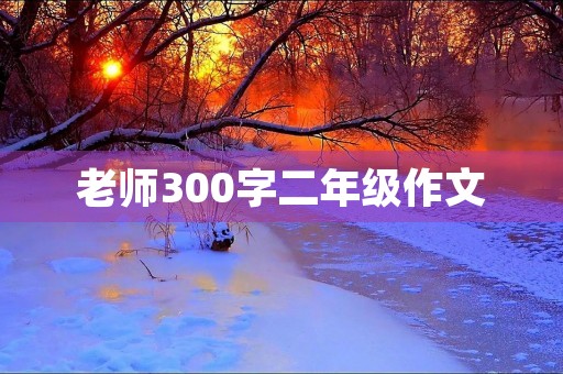 老师300字二年级作文