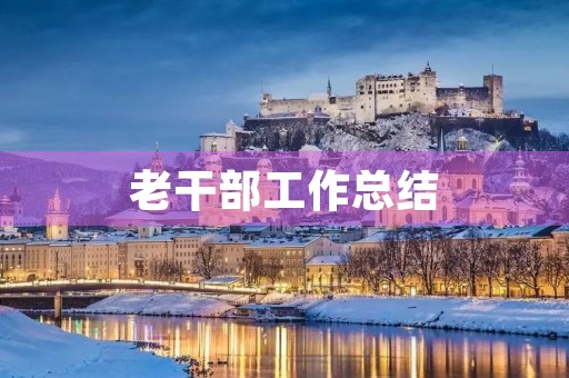 老干部工作总结