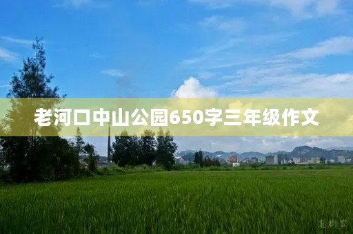 老河口中山公园650字三年级作文