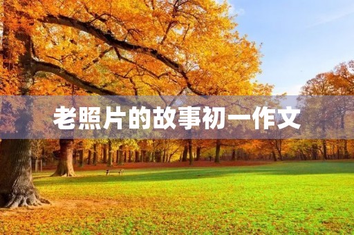 老照片的故事初一作文 老照片的故事初一作文