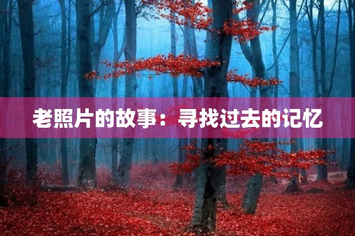 老照片的故事:寻找过去的记忆 老照片的故事:寻找过去的记忆