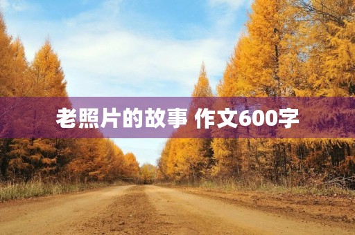 老照片的故事 作文600字