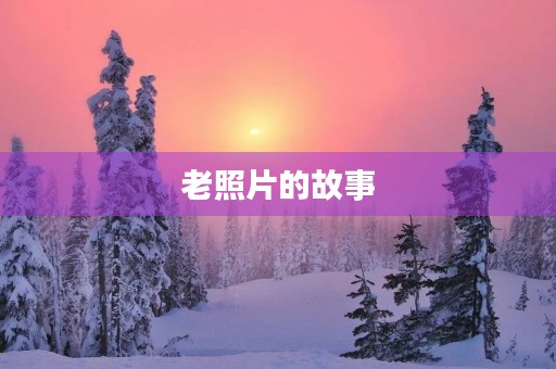老照片的故事