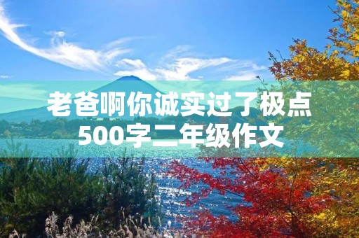 老爸啊你诚实过了极点500字二年级作文