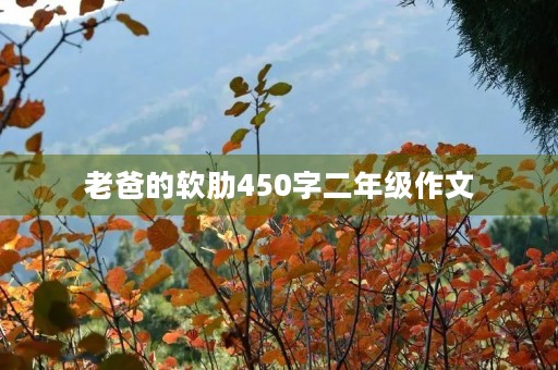 老爸的软肋450字二年级作文
