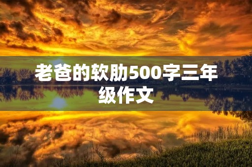 老爸的软肋500字三年级作文 老爸的软肋500字三年级作文