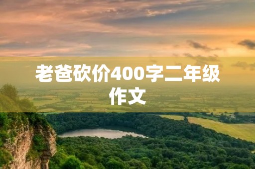 老爸砍价400字二年级作文