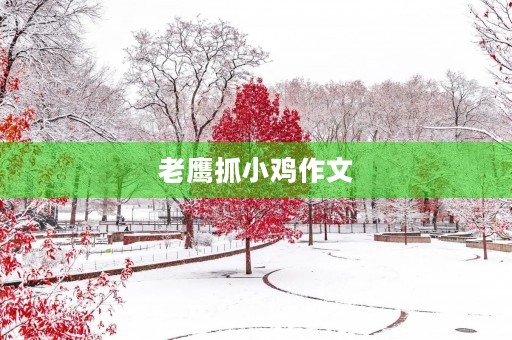 老鹰抓小鸡作文 老鹰抓小鸡作文