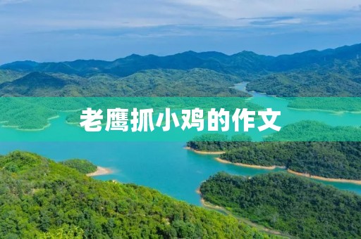 老鹰抓小鸡的作文