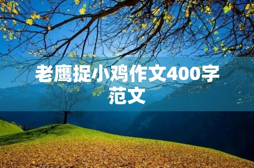 老鹰捉小鸡作文400字范文