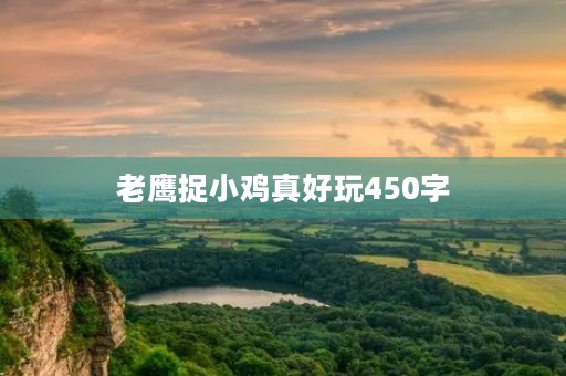 老鹰捉小鸡真好玩450字