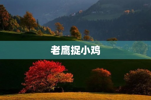 老鹰捉小鸡 老鹰捉小鸡