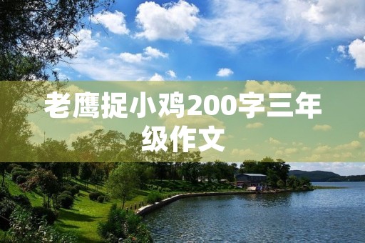 老鹰捉小鸡200字三年级作文
