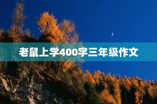 老鼠上学400字三年级作文