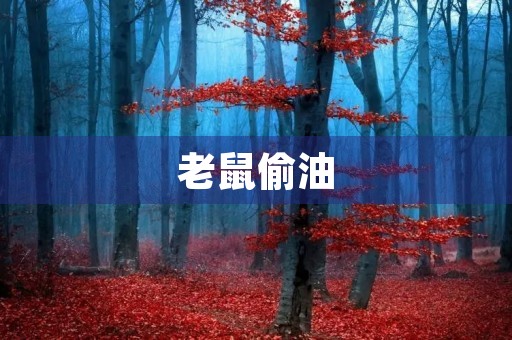 老鼠偷油