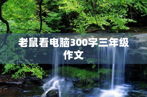 老鼠看电脑300字三年级作文