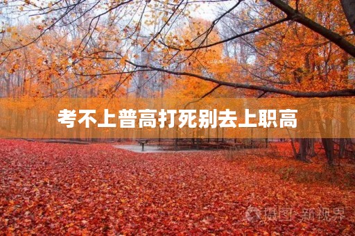 考不上普高打死别去上职高