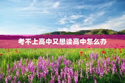 考不上高中又想读高中怎么办