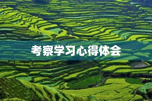 考察学习心得体会 考察学习心得体会