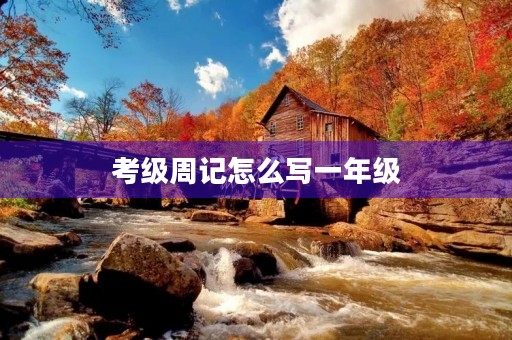 考级周记怎么写一年级