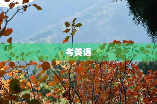 考英语 考英语